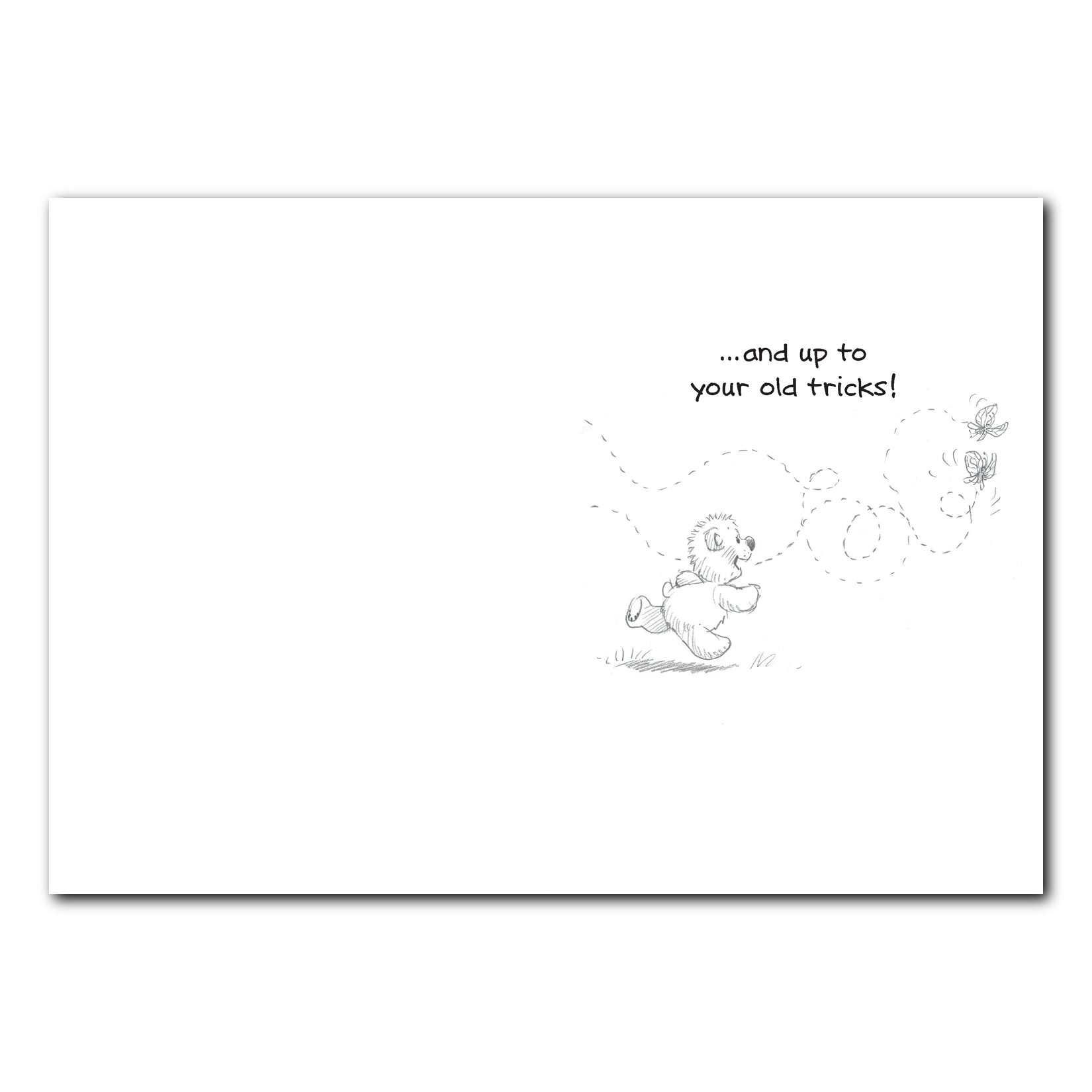 Boof's Butterflies Get Well Greeting Card
