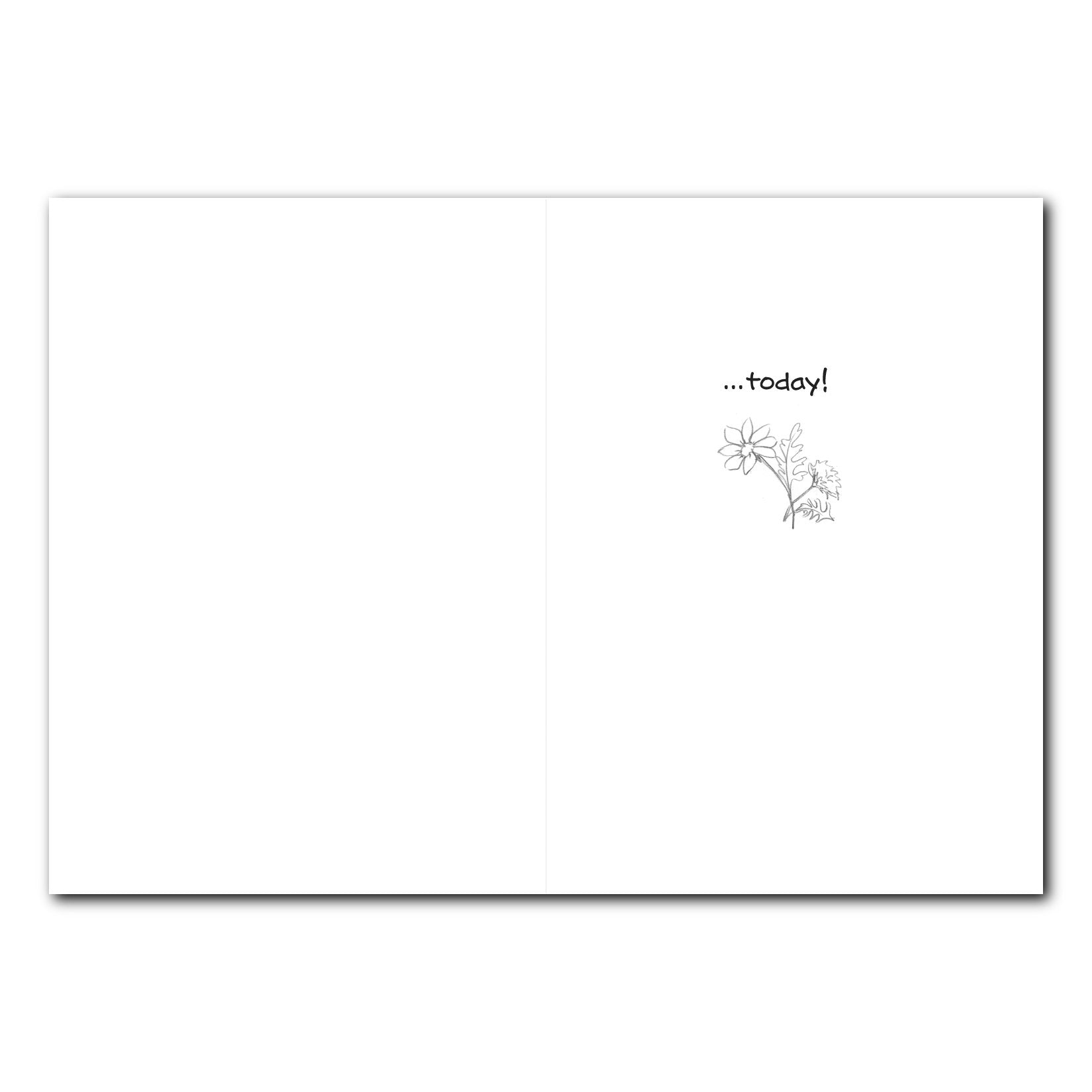 Polly Daisy Friendship Greeting Card