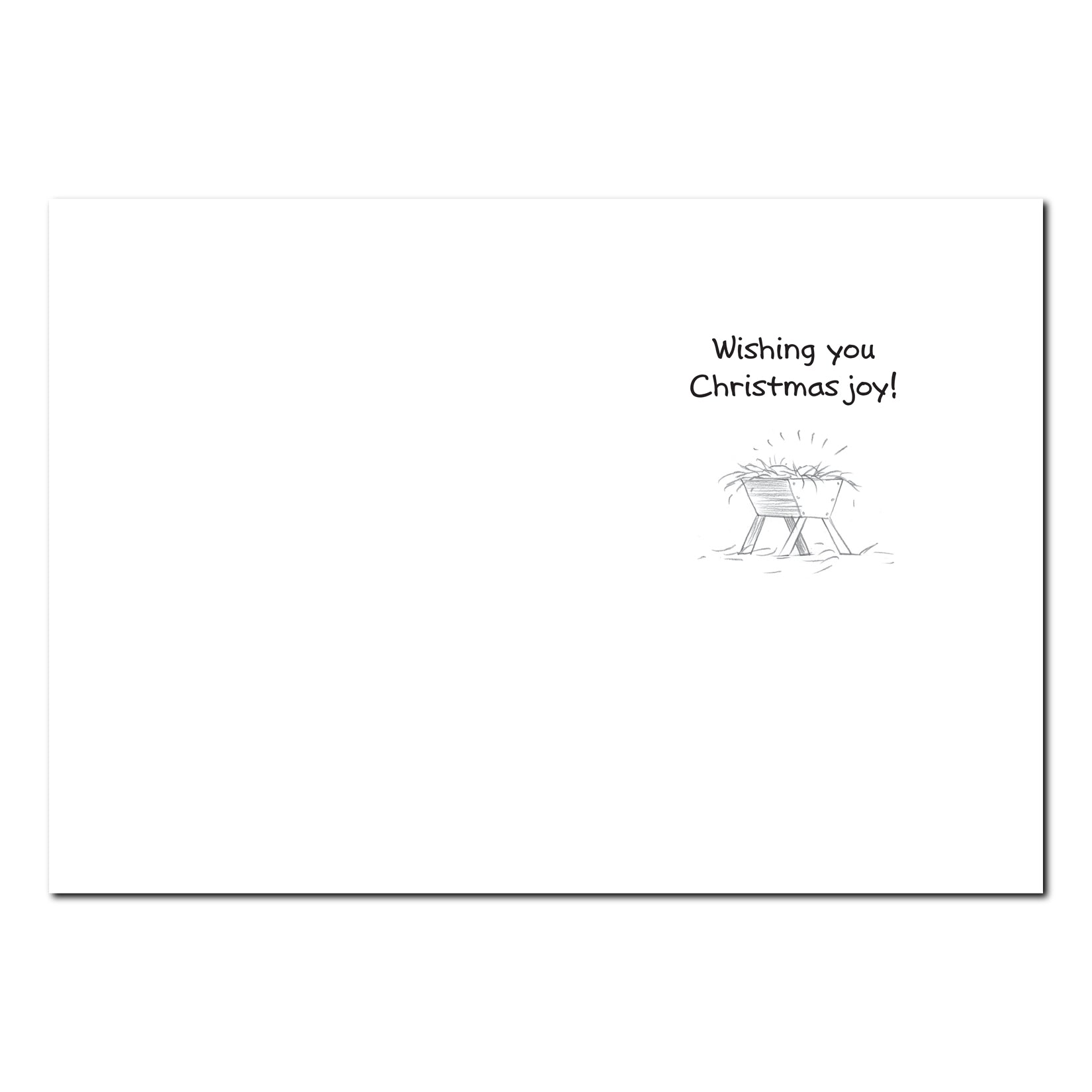 Christmas Pageant Holiday Greeting Card