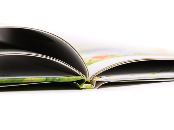 Witzy and Zoom Zoom Children's Book