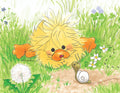 Witzy in the Backyard Note Cards Set - 10855