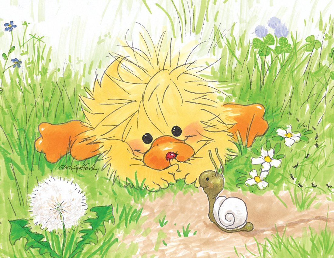 Witzy in the Backyard Note Cards Set - 10855