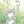God Bless Mouse Note Cards Set - 10872